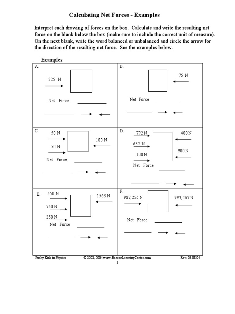 Free Body Net Force Practice PDF Force