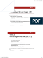 FG21 - 22 - Tema 5 - VGI PDF