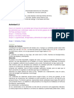Tarea 2.2 Dany Villarreal PDF