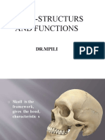 Skull-Structure and Functions
