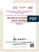 Blanca Elizabeth Pech Nuñez: Constancia de Capacitación A