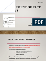 Development of Face Palate