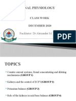 Class Work - Renal Physiology 2020
