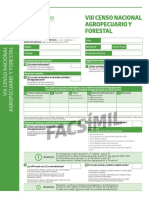 Cedula Censal VIII Caf Facsimil