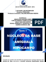 Núcleos Da Base - Seminário - Grupo - 5