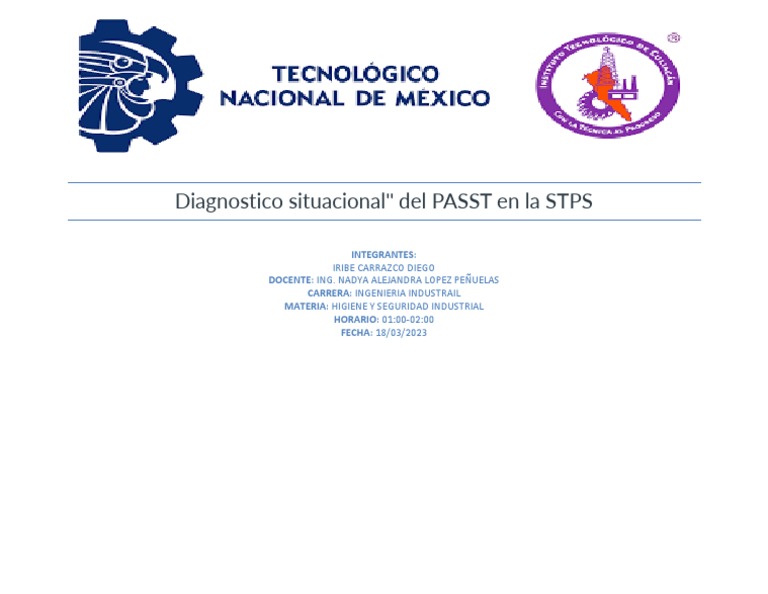 Diagnóstico del PASST en la STPS | PDF