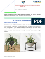 Cono-maceta para plantas peruanas