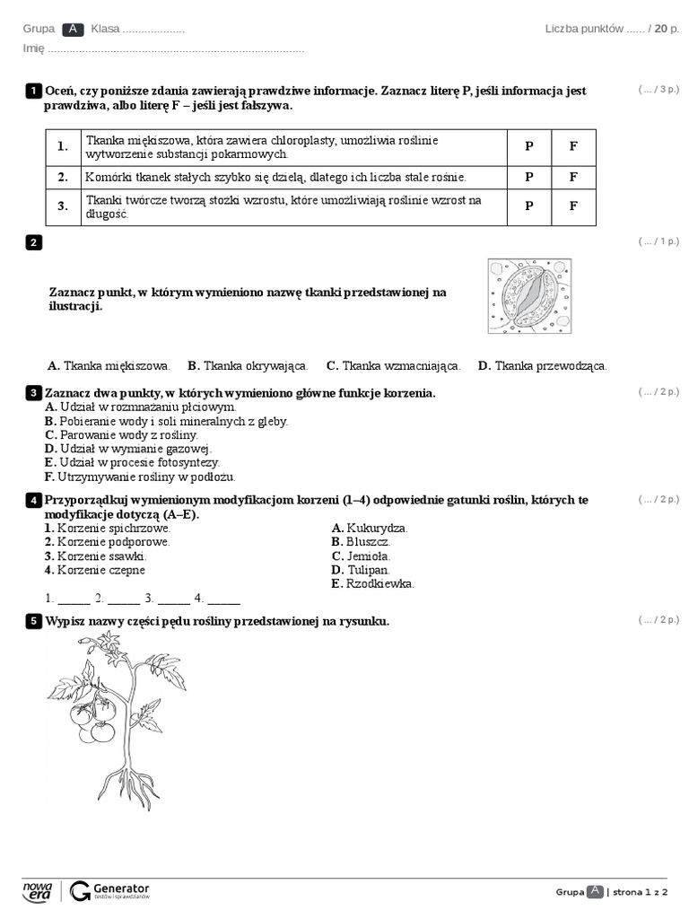 Kartkówka Z Biologii Klasa 5 Tkanki Roślinne Test IV. Tkanki I Organy Roslinne Test Z Widoczna Punktacja | PDF