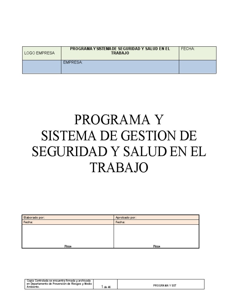 Programa de Gestión en Seguridad y Salud | PDF | Riesgo | Seguridad y ...