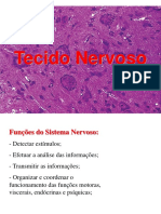 psico-neuro-17.pdf