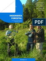 Ingenieria-Forestal Folleto 2022 PDF