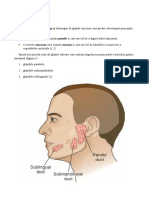 Fiziologie LP NR 5 Anul I