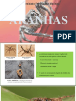 ARANHAS