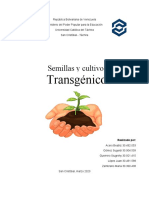 Semilllas y Cultivos Transgenicos 2A Ambiente