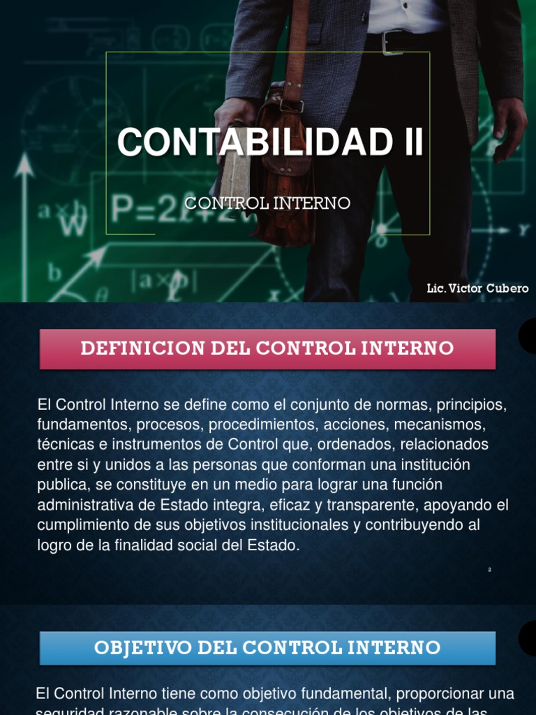 control-interno-pdf-contabilidad-economias