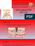 Inflamación Aguda