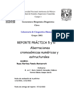 Reporte56 PMRM CH1003