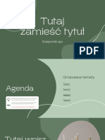 Presentation Template