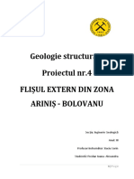 Geologie Structurala - Flisul Extern Zin Zona Arinis-Bolovanu