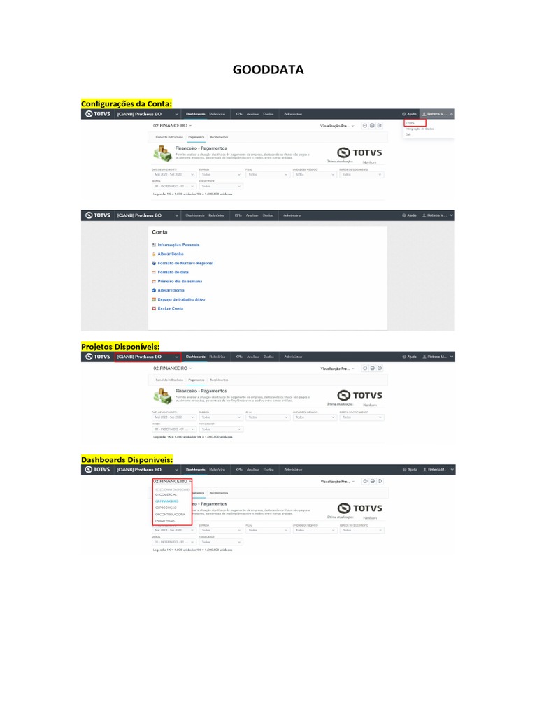Configurações e Funcionalidades do GoodData | PDF