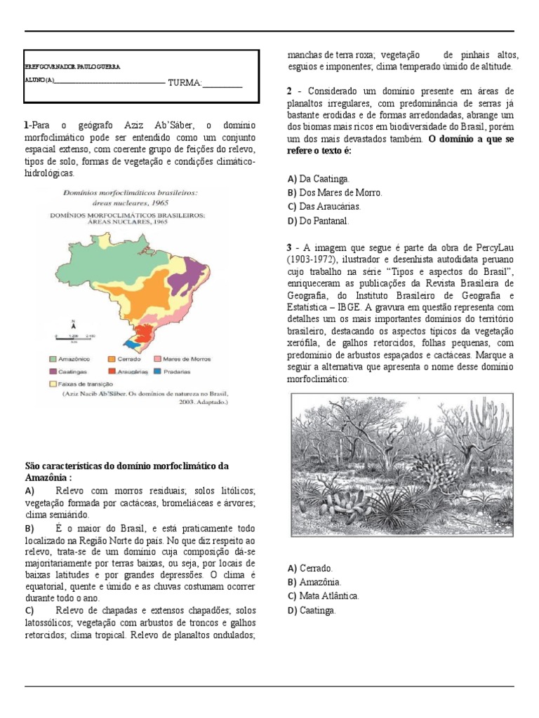 Atividades sobre Domínios Morfoclimáticos 7º Ano | PDF | Florestas ...