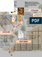 Infografia Instituciones Financieras