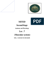 Mited Second Stage: Msc. Samar M.Shakir