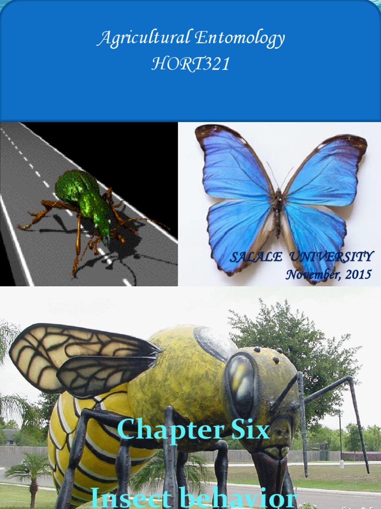 Agricultural Entomology | PDF | Food Web | Insects
