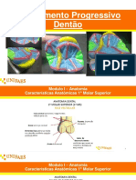 Módulo I - Anatomia - Enceramento Progressivo Dentão PDF