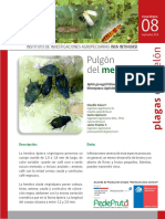 Ficha Técnica INIA #08 PDF