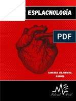 Apunte Esplacno PDF