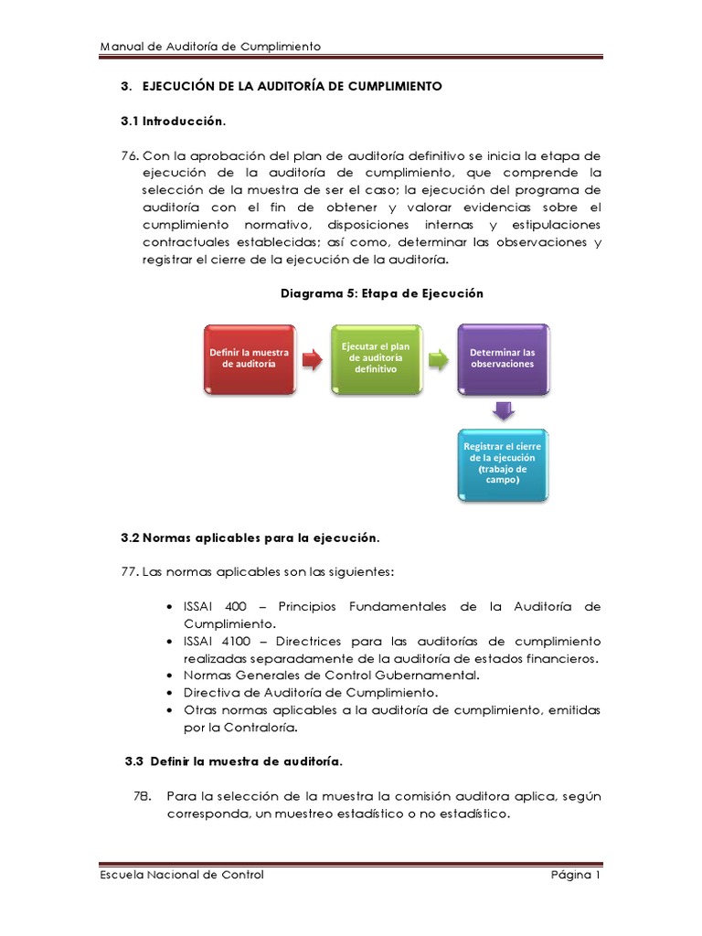 Guía completa para la ejecución de auditorías de cumplimiento | PDF ...