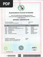 TPIN Registration Certificate Overview | PDF