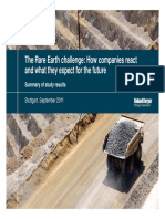 The Rare Earth Challenge How Companies React and What They Expect For The Future