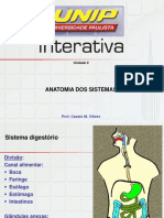 Anatomia dos Sistemas Digestório e Urinário