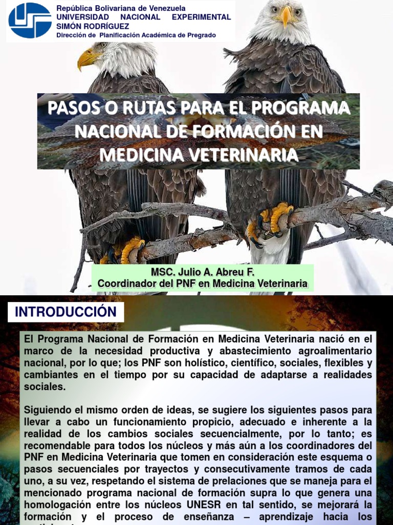 Pasos Del PNF MEDICINA VETERINARIA (2022) | PDF | Medicina Veterinaria ...