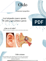 Anatomía del oído: órganos externos e internos