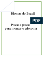 Triorama Biomas Brasileiros