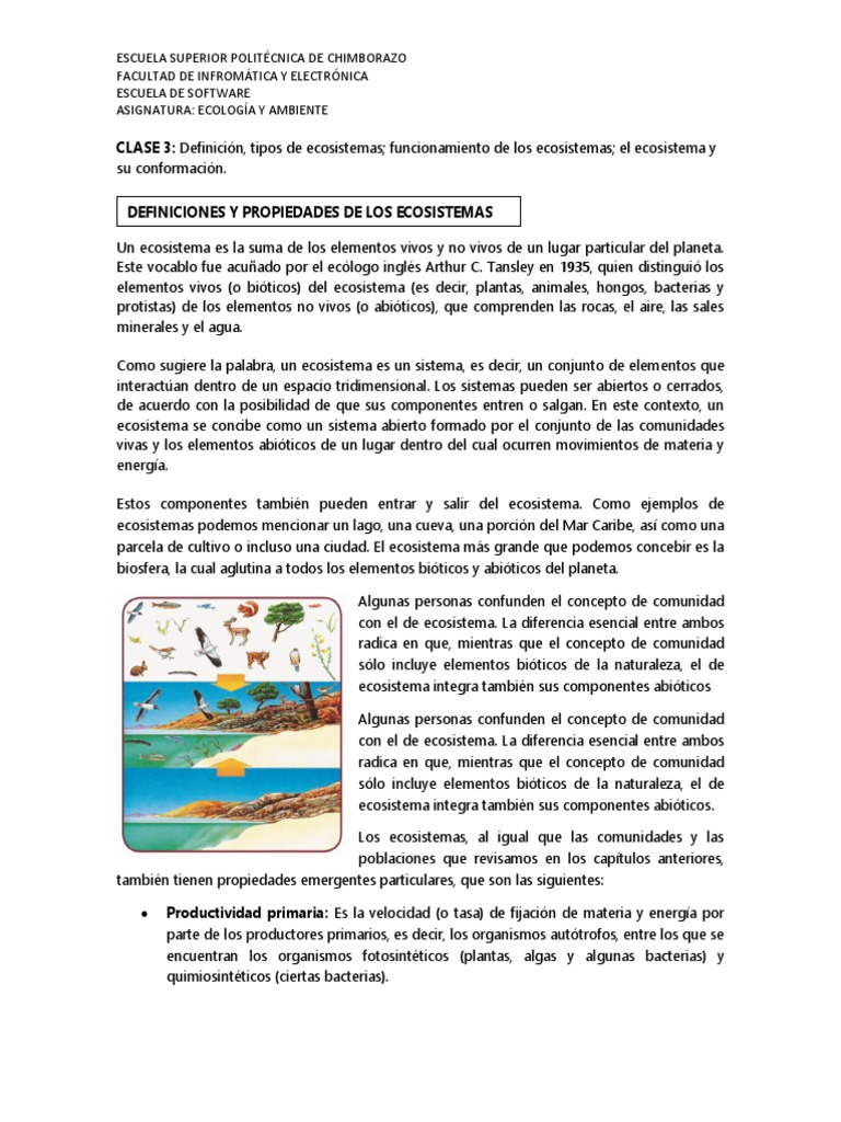 MATERIAL CLASE 3 - Ecosistemas | PDF | Red alimentaria | Ecosistema