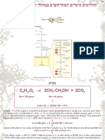 Chemical processes during alcoholic fermentation