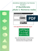 BS1 01 Reales PDF