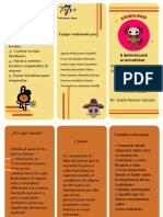 Triptico 2 PDF