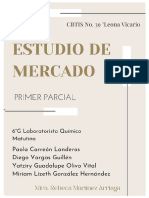 Trabajo Final - Estudio de Mercado