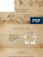 Tejidos Epitelial y Glandular - PDF