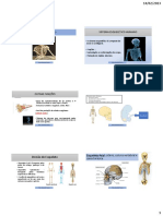 Sistema Esqueletico - Biologia - 9º Ano