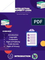 IP Laws Explained