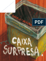 Resumo Caixa Surpresa Angela Carneiro PDF