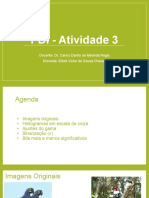 PDI - Atividade 3 PDF