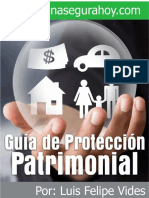 PDF Guia Proteccion Patrimonial - Compress 1