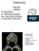 CD Neuro Editado PDF